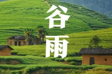 谷雨三候指的是什么，谷雨时节有哪些习俗