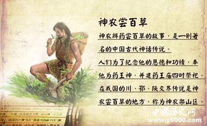 神农尝百草的传说故事神农为什么尝百草