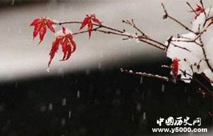 小雪节气养生食谱 小雪节气养生攻略