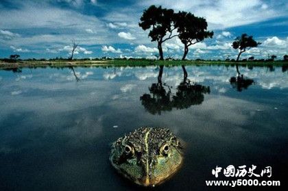 华夏地理简介杂志内容杂志发展历程介绍华夏地理投稿步骤