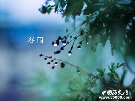 谷雨是怎么来的