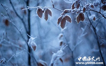 霜降节气的由来习俗