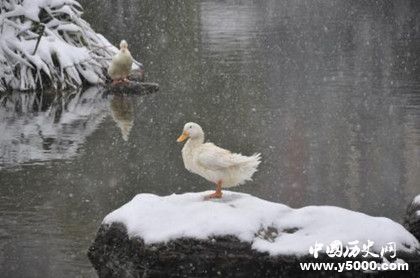 二十四节气小雪节气的由来 小雪节气气候变化