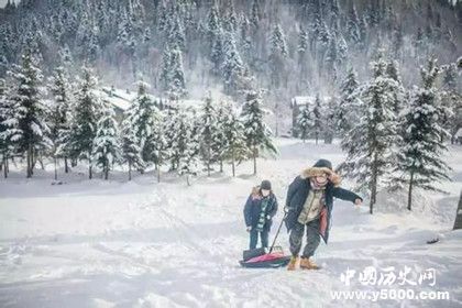 大雪节气什么植物会开花大雪节气易发灾害有哪些