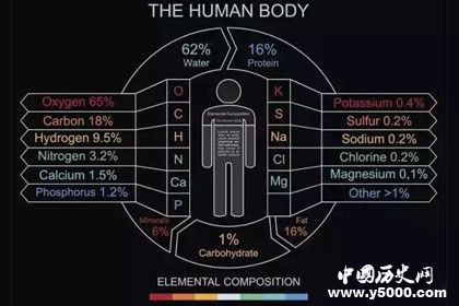 地球为什么只选择碳基生命，而不选择硅基生命？