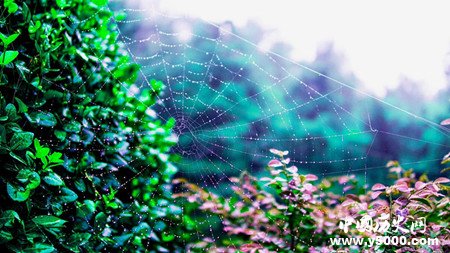 梅雨季节是什么时候